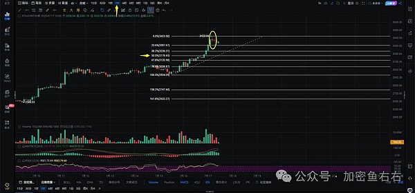 深度解析：NTRN能否创造下一个百倍神话？