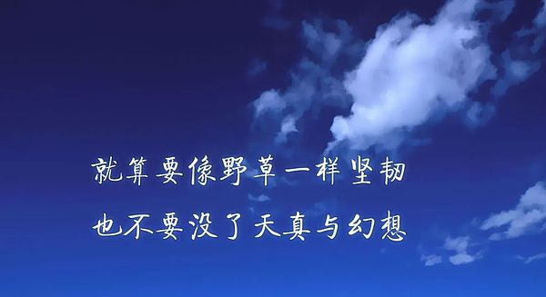 加密市场投资真经：与其预测风暴，不如学会与浪共舞
