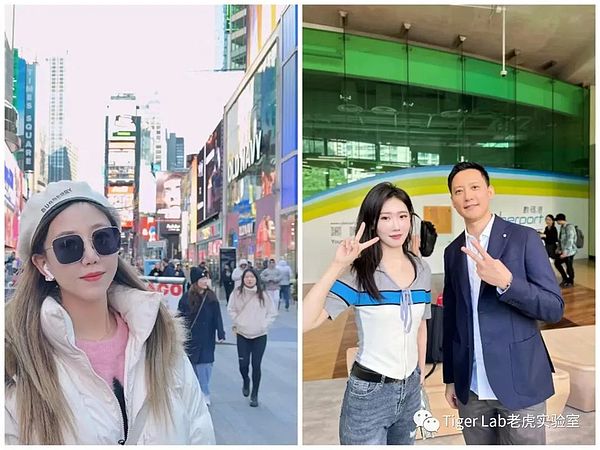 比特币强势反弹：数字黄金重新闪耀26,000美元高地